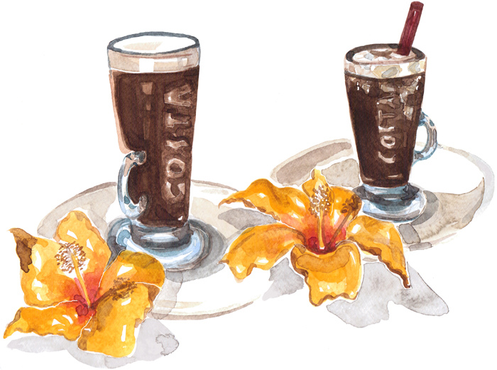 Costa Coffee illustration - Cocoskies