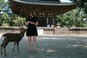 Japan: Exploring Nara - Cocoskies | Illustration, design & travel blog