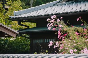 Japan: Exploring Nara - Cocoskies | Illustration, design & travel blog