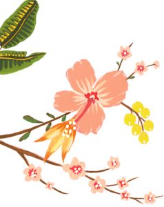 Watercolour header - Cocoskies